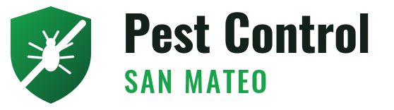 San Mateo Pest Control